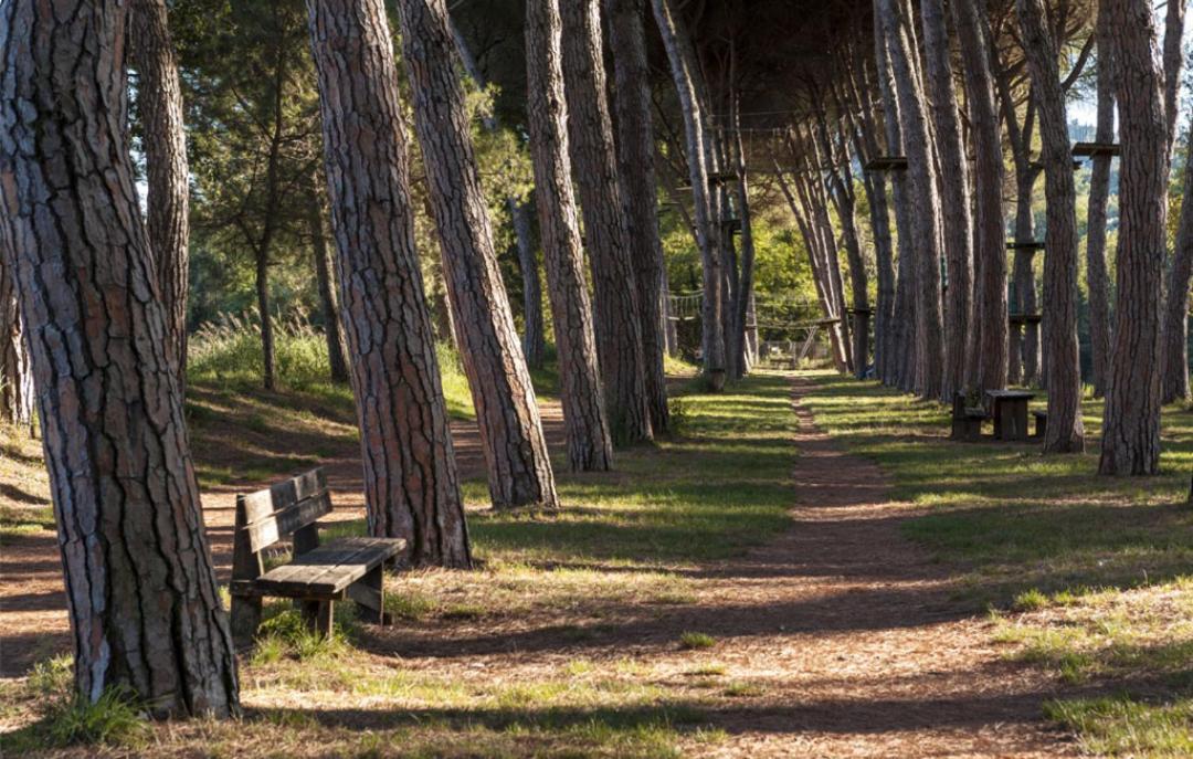 Alloggio Turistico Puccini Perugia Dış mekan fotoğraf
